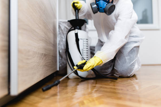 Best Termite Control Services  in Brownsville, OR