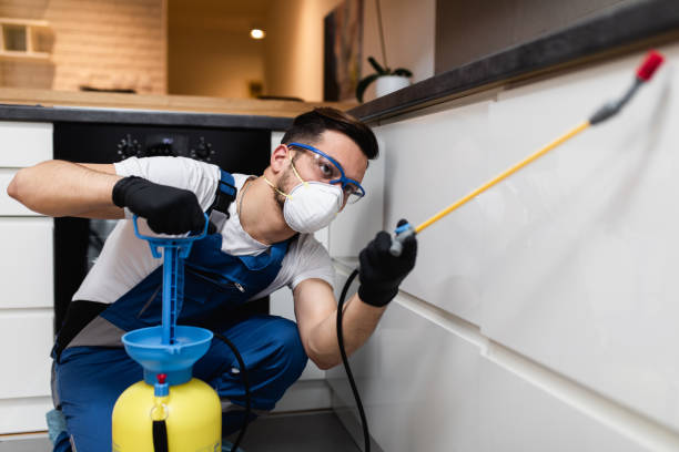 Flea Control Services in Brownsville, OR