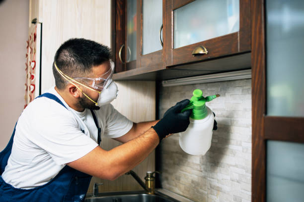 Best Bed Bug Extermination  in Brownsville, OR
