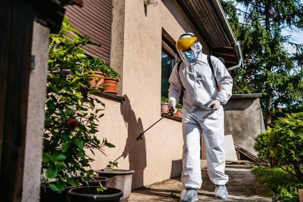 Best Affordable Pest Control Services  in Brownsville, OR