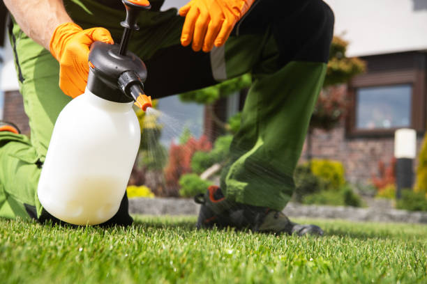 Best Spider Control Near Me  in Brownsville, OR