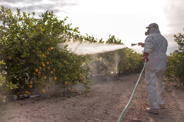 Brownsville, OR Pest Control Company