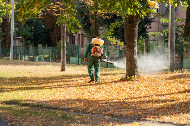 Best Rat Extermination Near Me  in Brownsville, OR