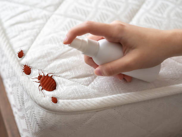 Best Best Pest Control Companies  in Brownsville, OR