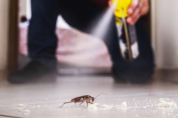  Brownsville, OR Pest Control Pros