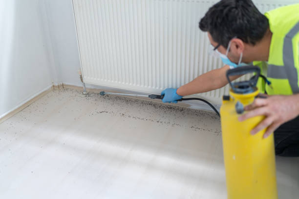 Best Best Pest Control Companies  in Brownsville, OR