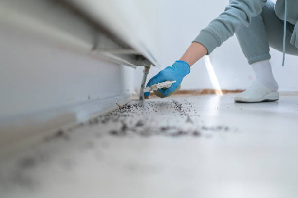 Best Residential Pest Control  in Brownsville, OR