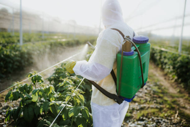 Best Pest Control Near Me  in Brownsville, OR